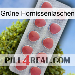 Grüne Hornissenlaschen 18